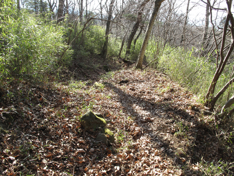 20180116hike (279)